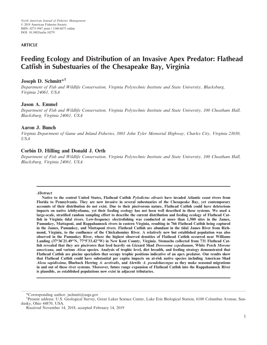 Pdf Feeding Ecology And Distribution Of An Invasive Apex Predator Flathead Catfish Pylodictis Olivaris In Subestuaries Of The Chesapeake Bay Virginia Usa