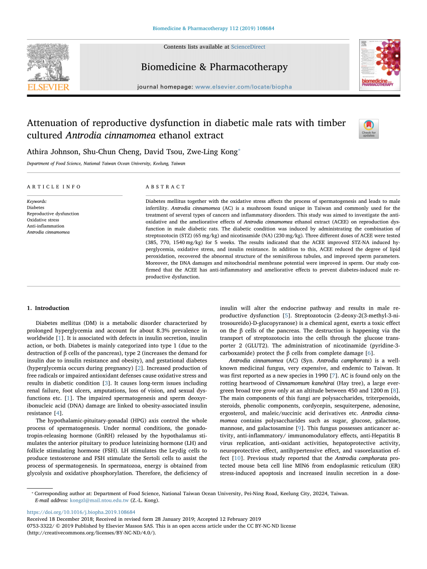 PDF Attenuation of reproductive dysfunction in diabetic male rats