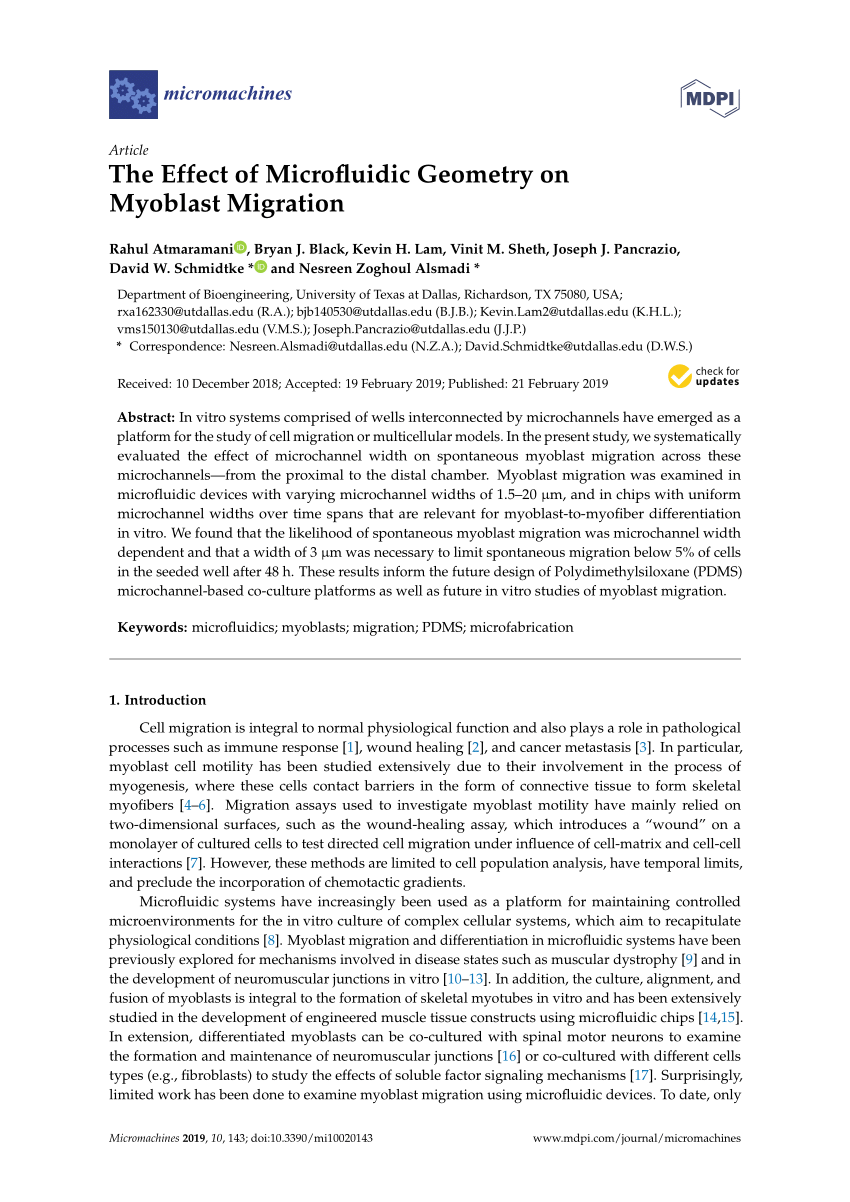 Pdf The Effect Of Microfluidic Geometry On Myoblast Migration