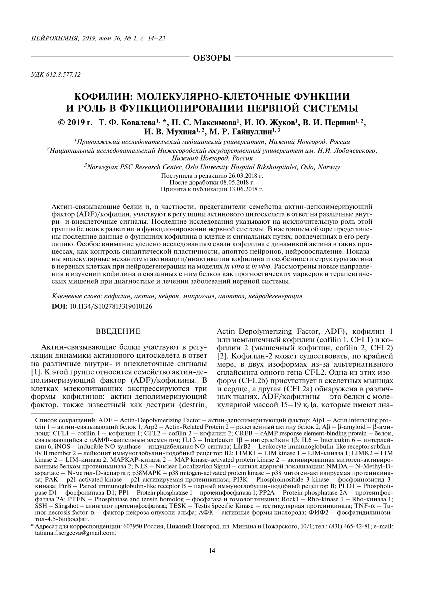 PDF) Кофилин: молекулярно-клеточные функции и роль в функционировании  нервной системы