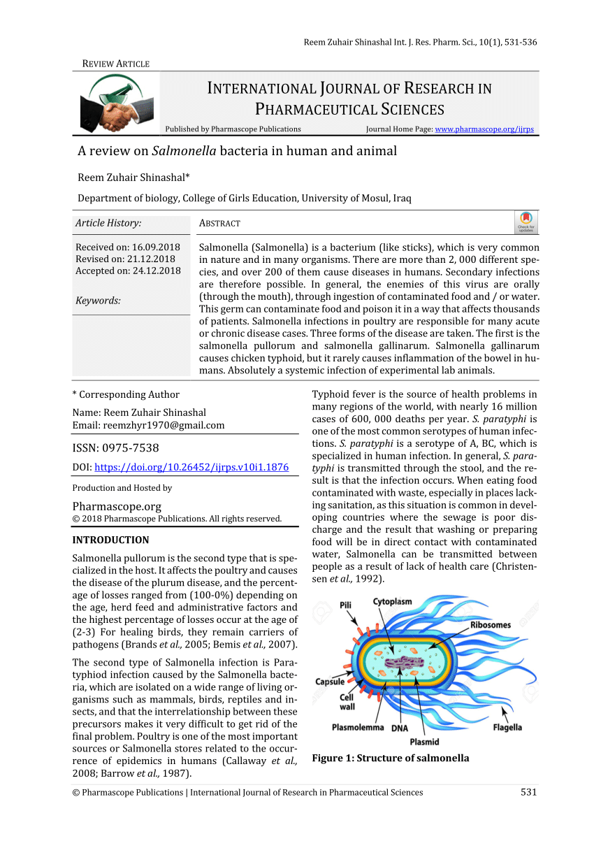 Pdf A Review On Salmonella Bacteria In Human And Animal