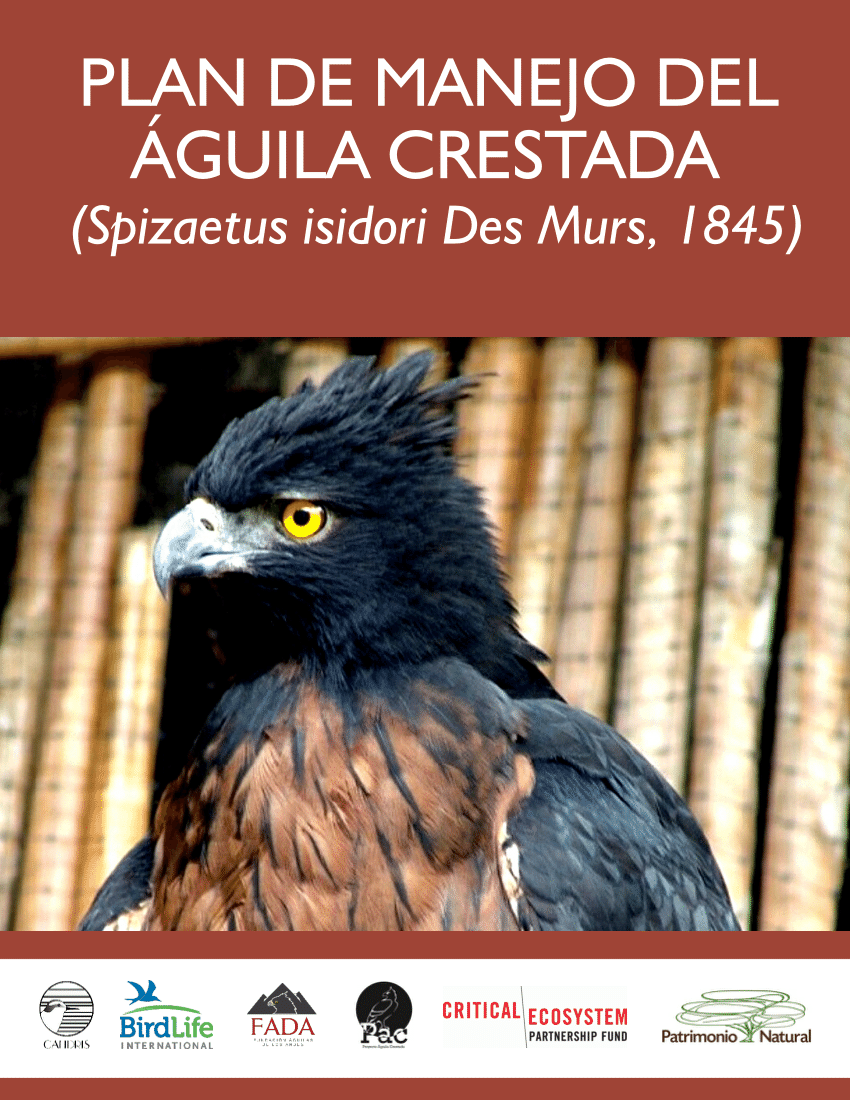 PDF) Plan de manejo del Águila Crestada (Spizaetus isidori Des Murs, 1845).