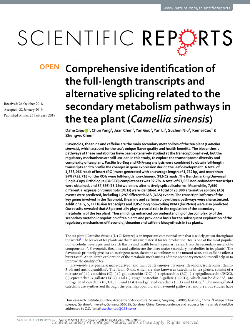 Pdf Comprehensive Identification Of The Full Length Transcripts And Alternative Splicing Related To The Secondary Metabolism Pathways In The Tea Plant Camellia Sinensis