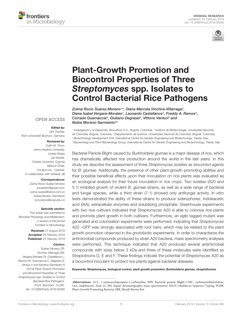 PDF Plant Growth Promotion And Biocontrol Properties Of Three Streptomyces Spp Isolates To