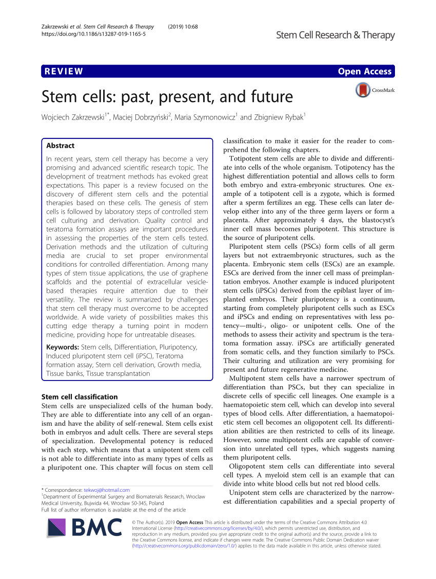 a research paper on stem cells