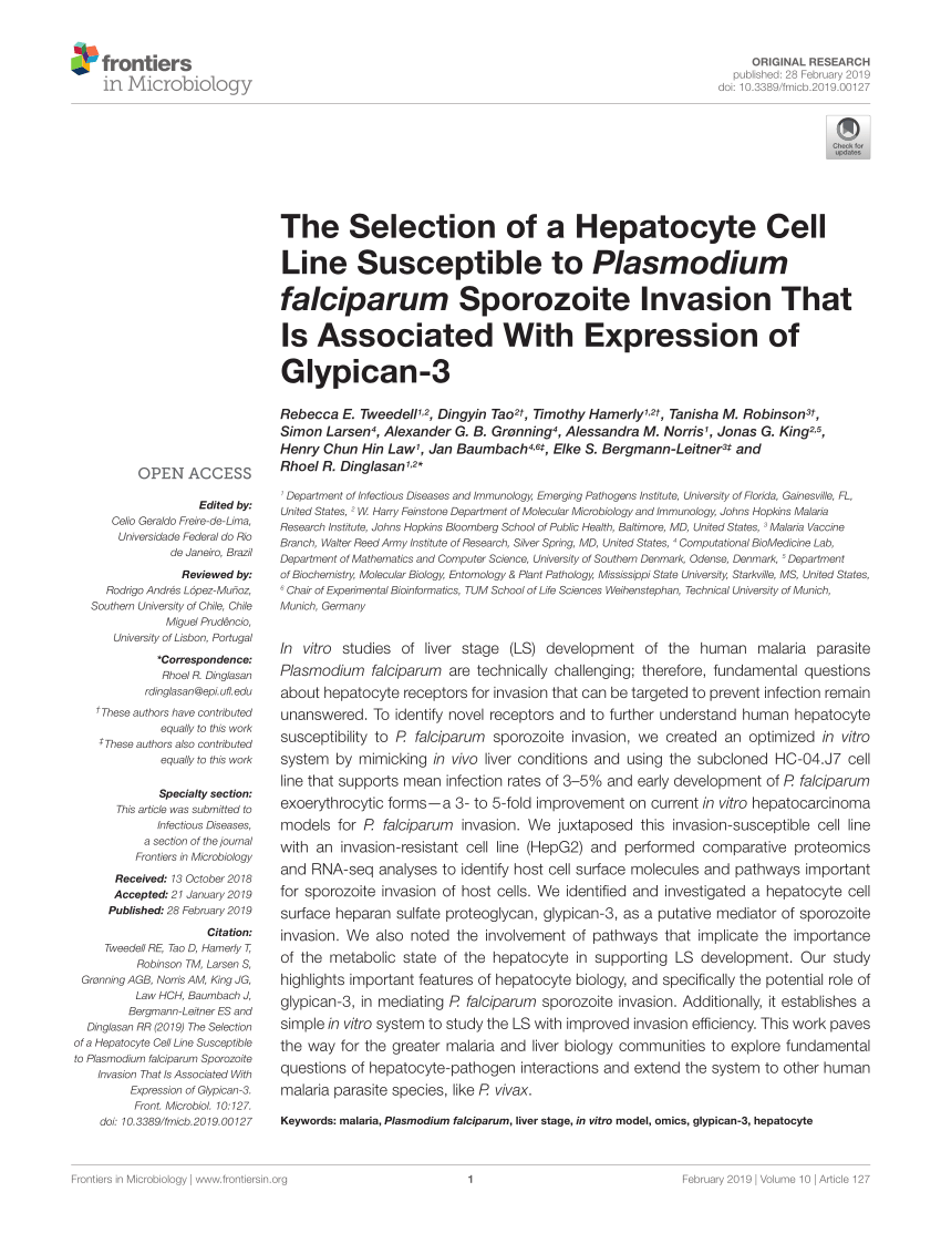 PDF) The Selection of a Hepatocyte Cell Line Susceptible to ...