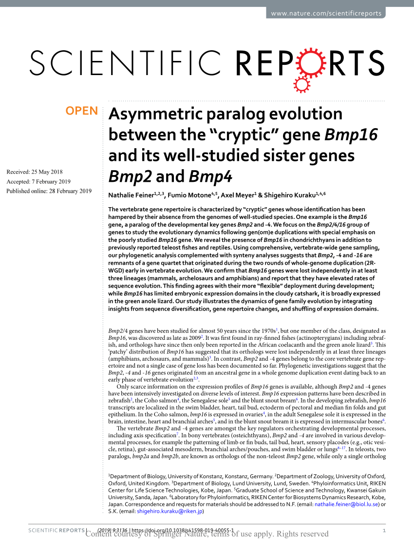 (PDF) Asymmetric paralog evolution between the “cryptic” gene 