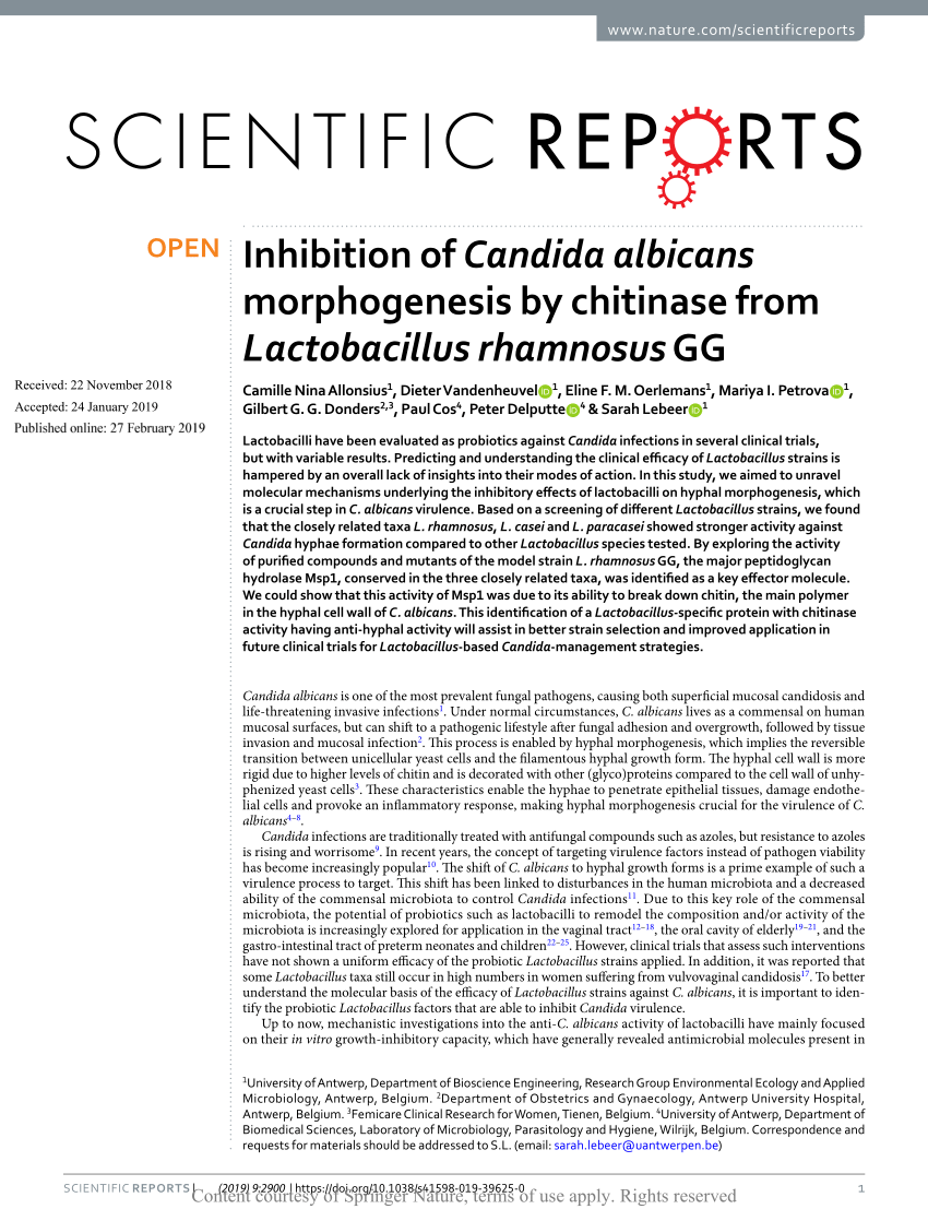 Inhibition of Candida albicans morphogenesis by chitinase from Lactobacillus  rhamnosus GG