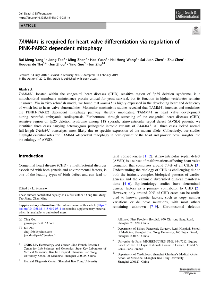 Pdf Tamm41 Is Required For Heart Valve Differentiation Via - 