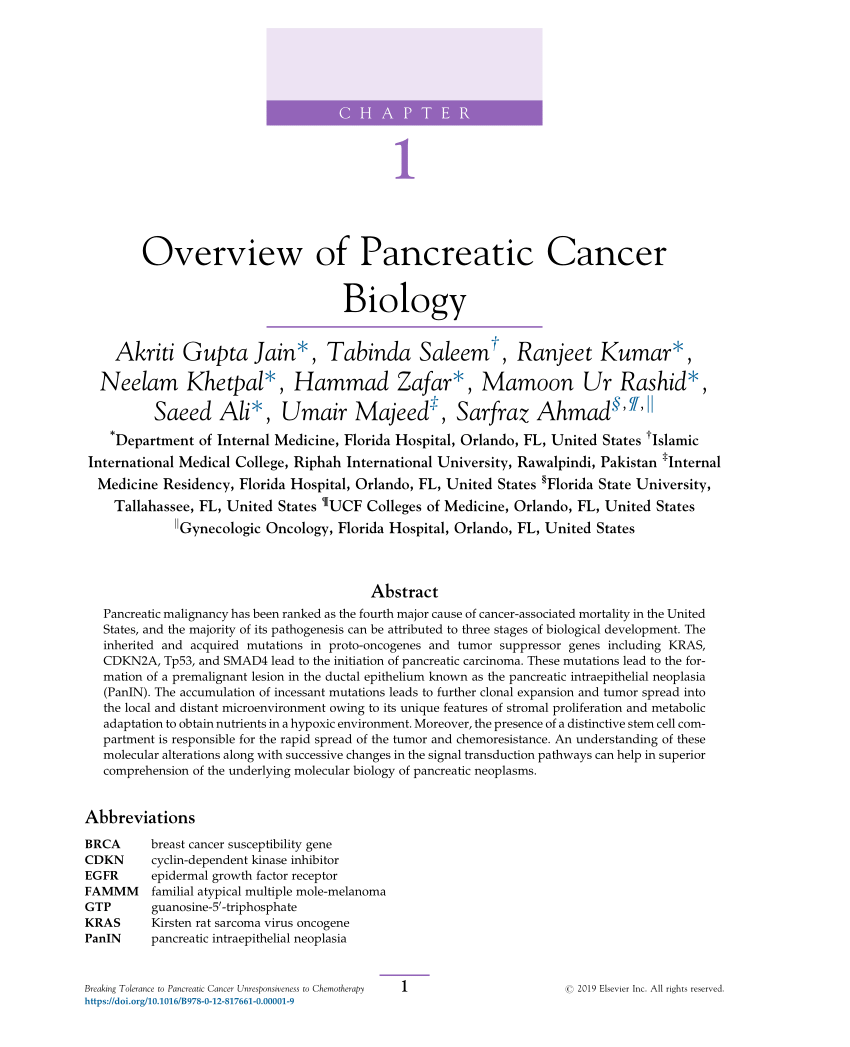 pancreatic cancer research articles