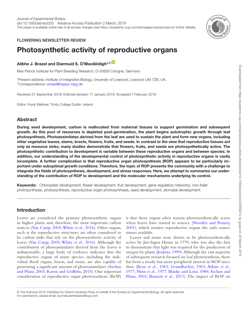 Pdf Photosynthetic Activity Of Reproductive Organs