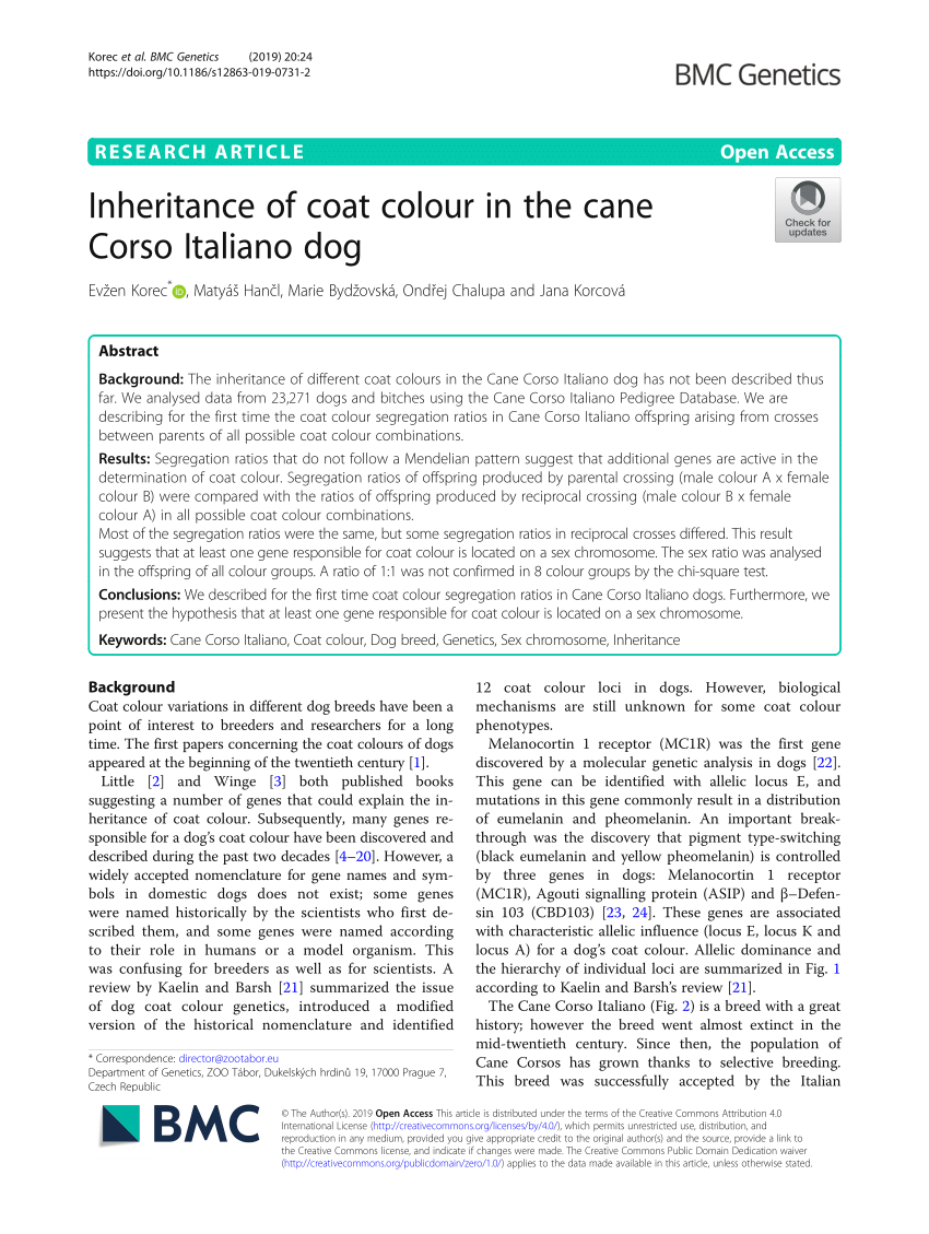 Pdf Inheritance Of Coat Colour In The Cane Corso Italiano Dog
