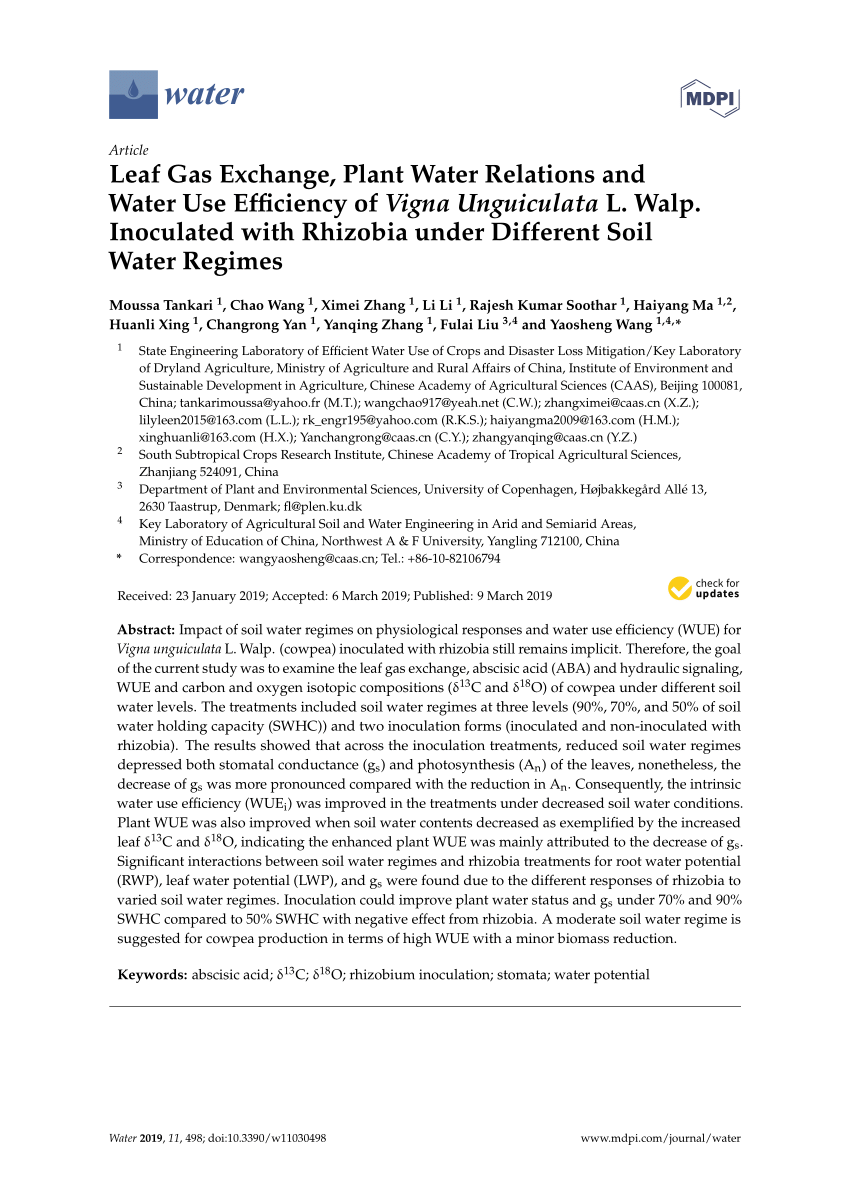 Pdf Leaf Gas Exchange Plant Water Relations And Water Use Efficiency Of Vigna Unguiculata L Walp Inoculated With Rhizobia Under Different Soil Water Regimes
