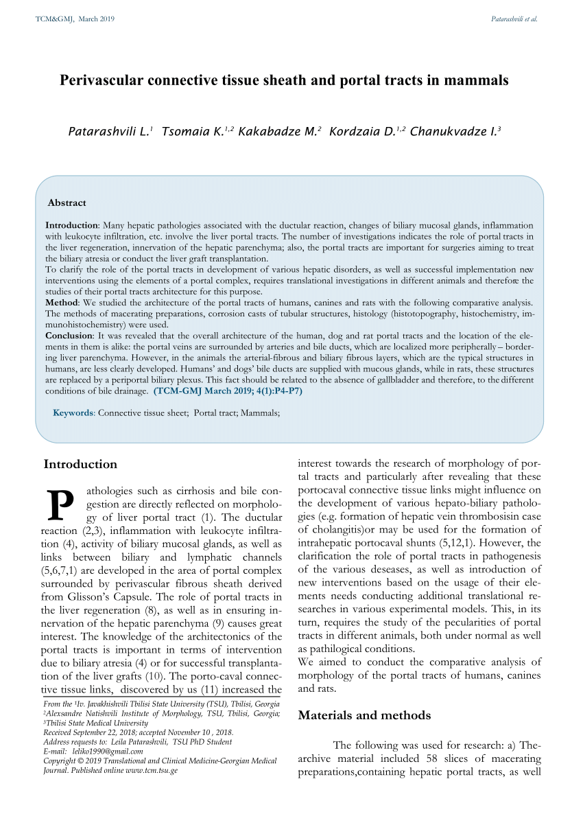(PDF) Perivascular connective tissue sheath and portal tracts in mammals