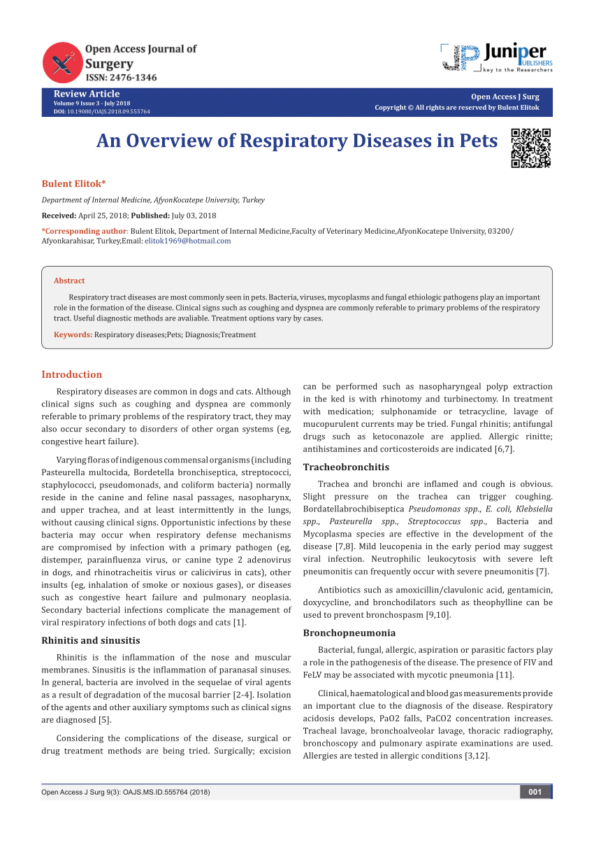 how is dyspnea treated in dogs