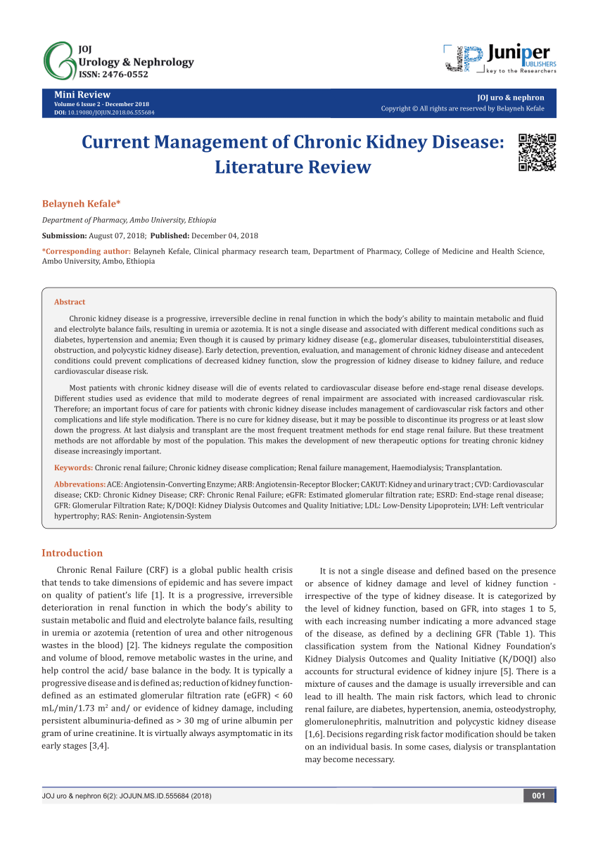 research paper on renal disease
