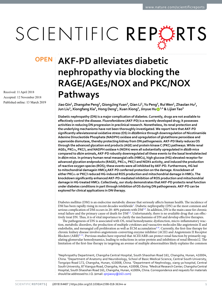 Pdf Akf Pd Alleviates Diabetic Nephropathy Via Blocking The Rage Ages Nox And Pkc Nox Pathways