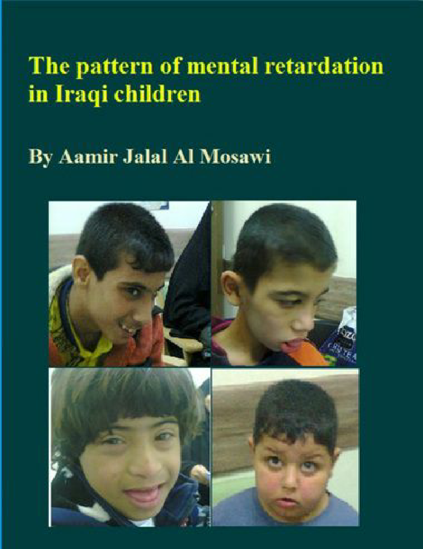 (PDF) The Pattern of Mental Retardation in Iraqi Children