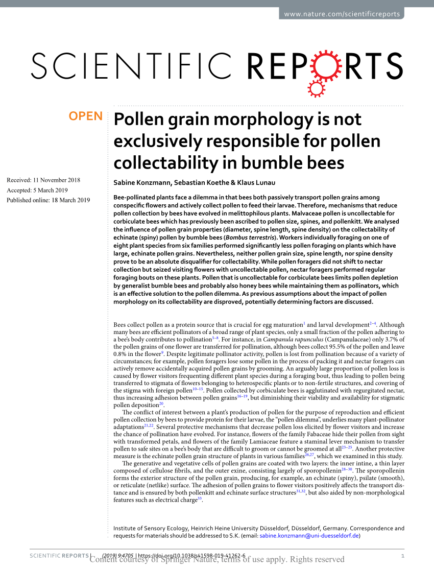 Pollen grain morphology is not exclusively responsible for pollen  collectability in bumble bees