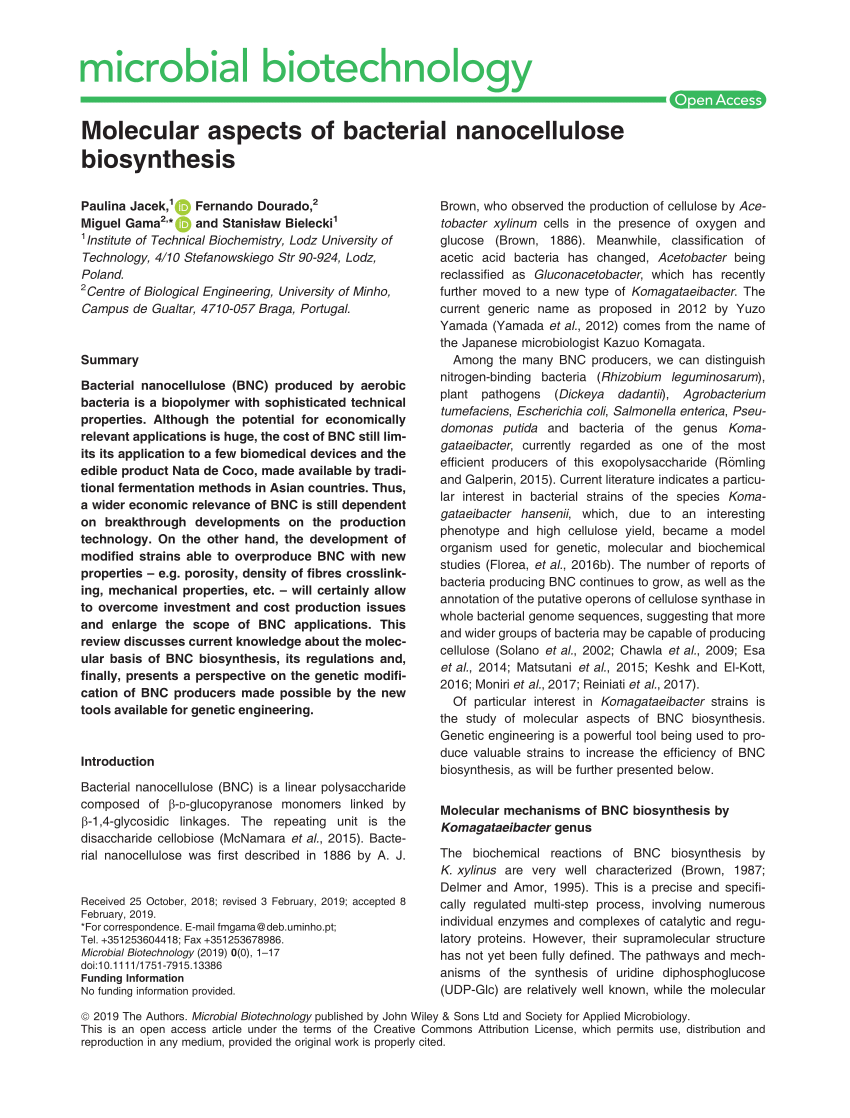 PDF) Molecular aspects of bacterial nanocellulose biosynthesis