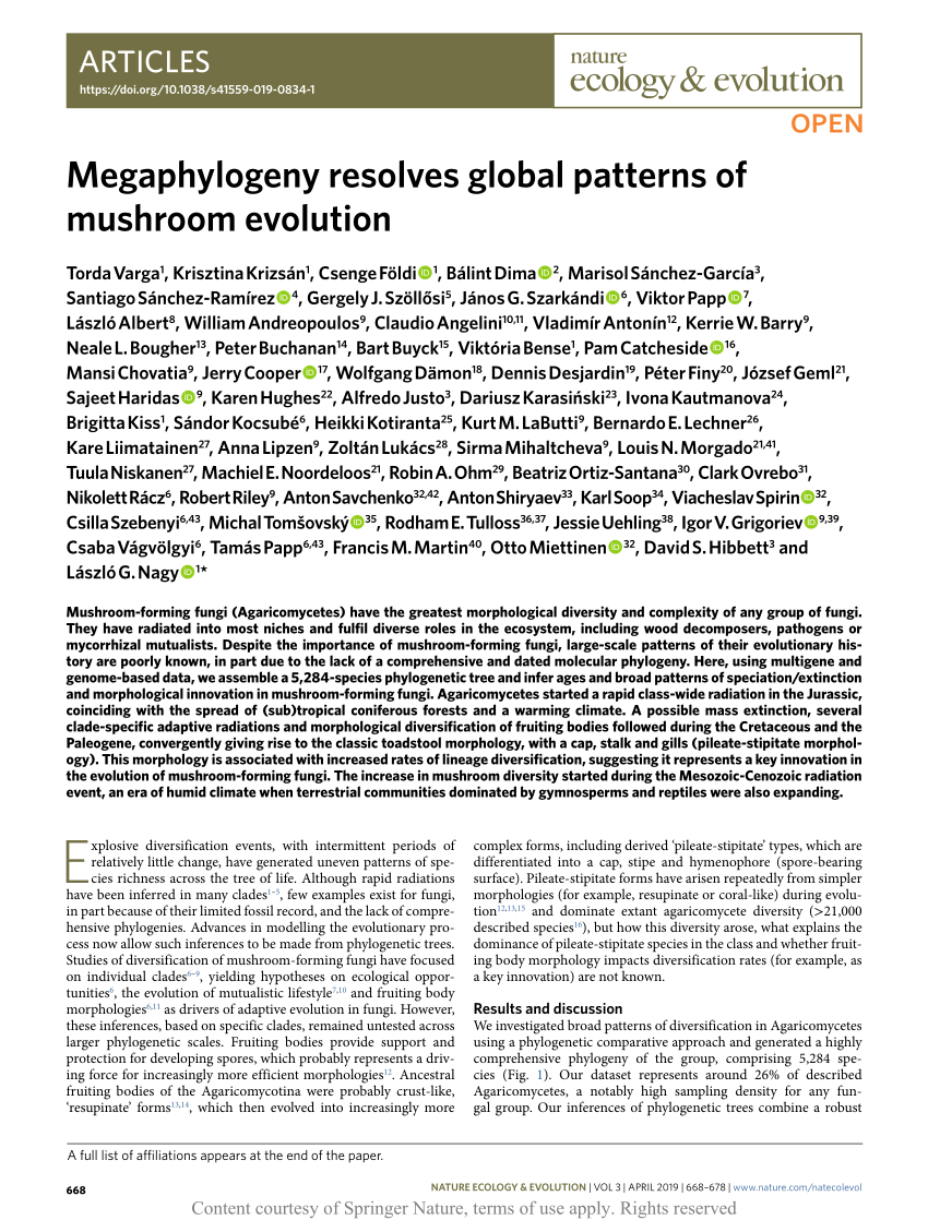 Pdf Megaphylogeny Resolves Global Patterns Of Mushroom Evolution
