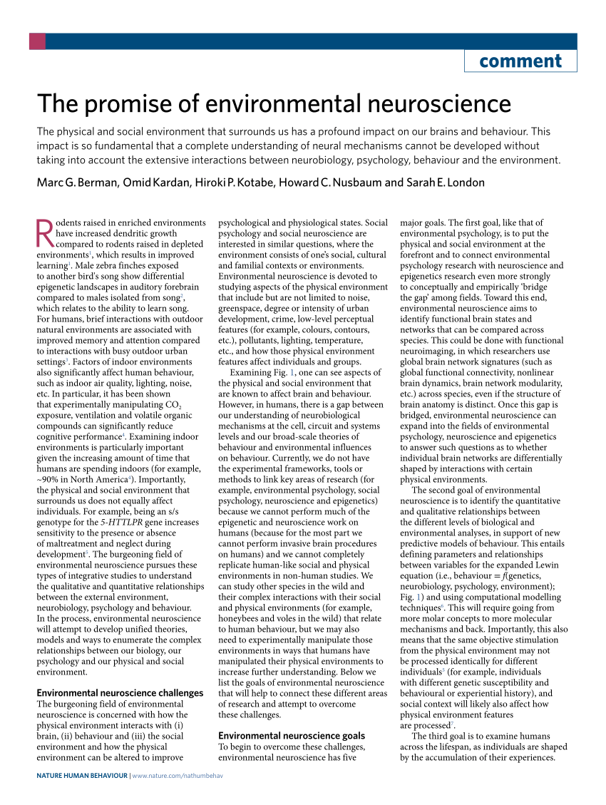 Pdf The Promise Of Environmental Neuroscience