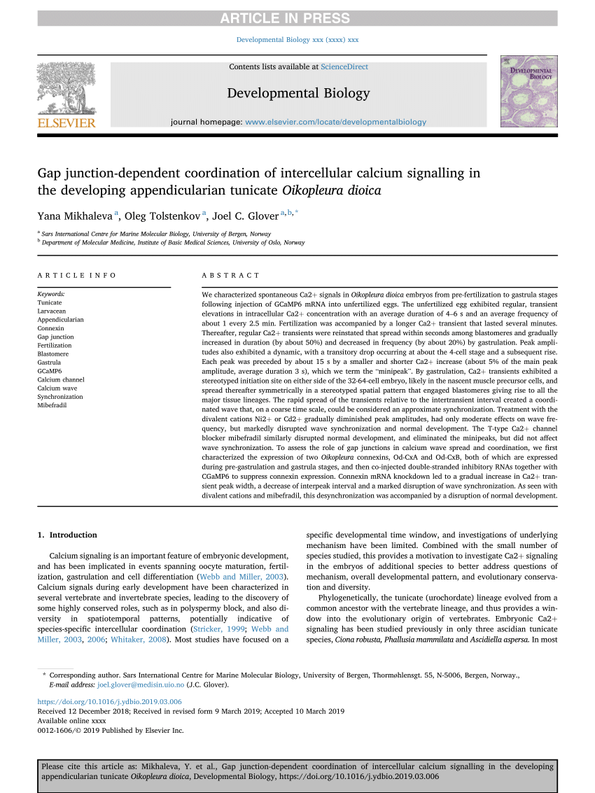 Xxxx Arti - PDF) Gap junction-dependent coordination of intercellular calcium ...