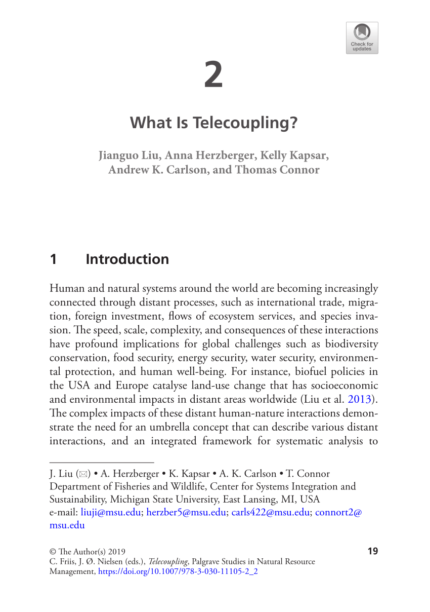 Pdf What Is Telecoupling