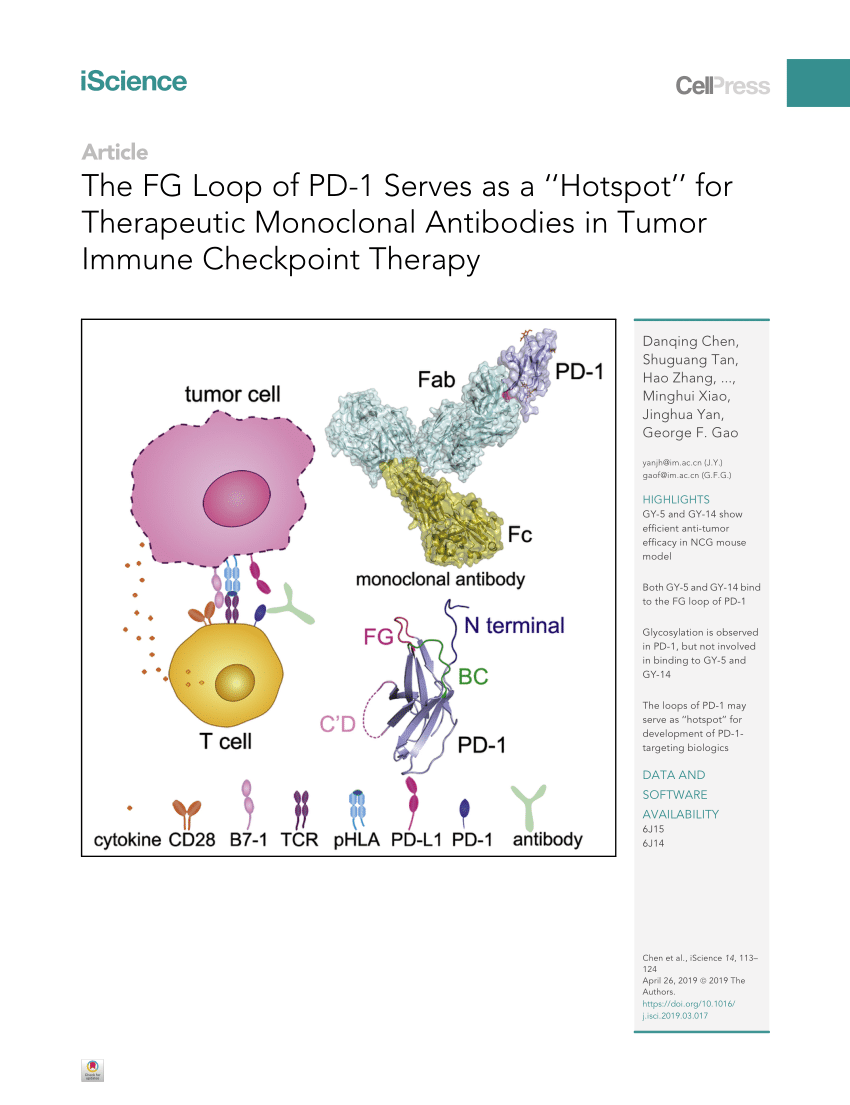 Pdf The Fg Loop Of Pd 1 Serves As A Hot Spot For Therapeutic Monoclonal Antibodies In Tumor Immune Checkpoint Therapy