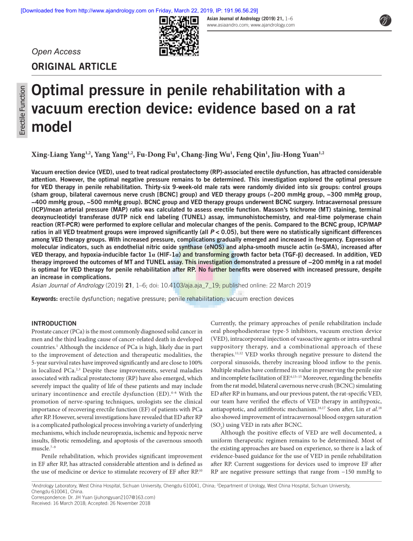 PDF Optimal pressure in penile rehabilitation with a vacuum