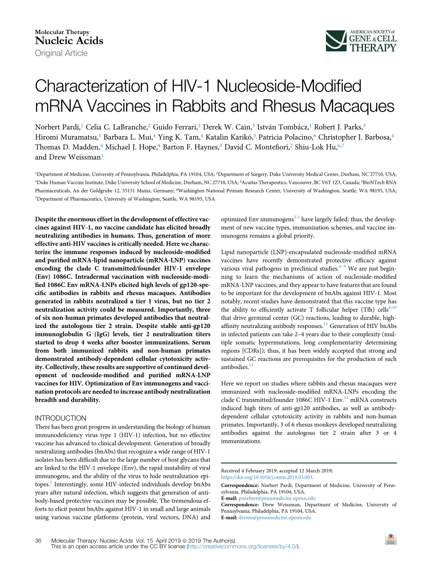 Pdf Characterization Of Hiv 1 Nucleoside Modified Mrna Vaccines In Rabbits And Rhesus Macaques