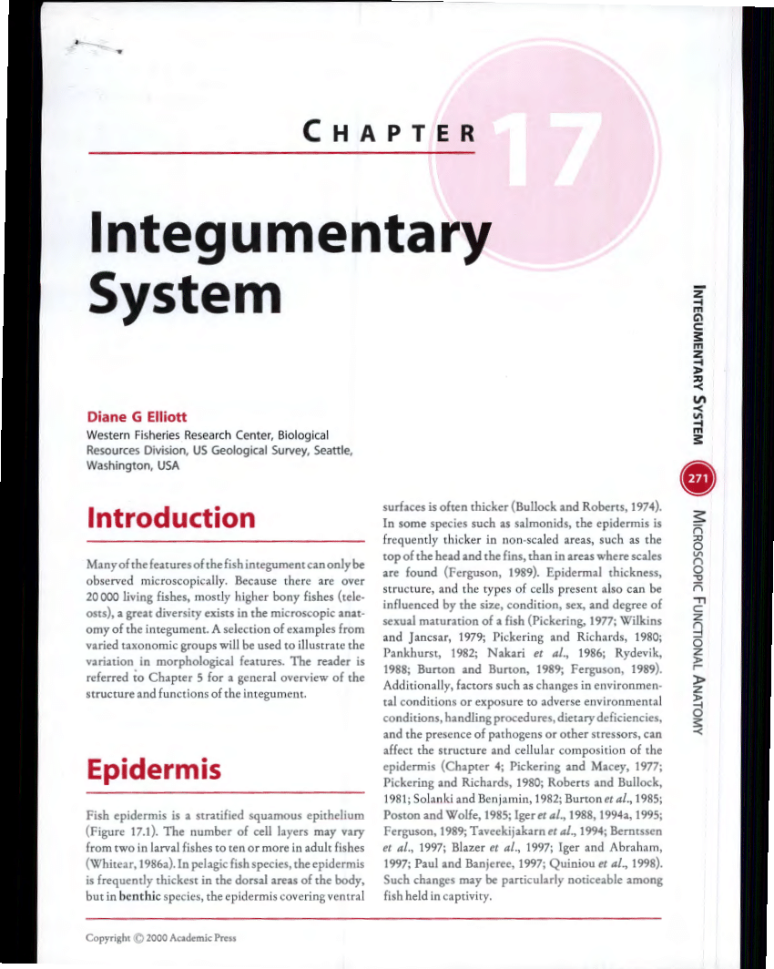 term paper on integumentary system
