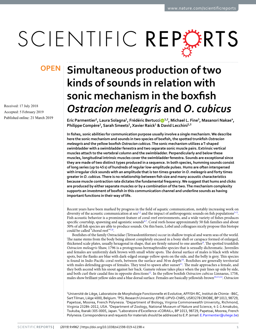 PDF) Simultaneous production of two kinds of sounds in relation with sonic  mechanism in the boxfish Ostracion meleagris and O. cubicus