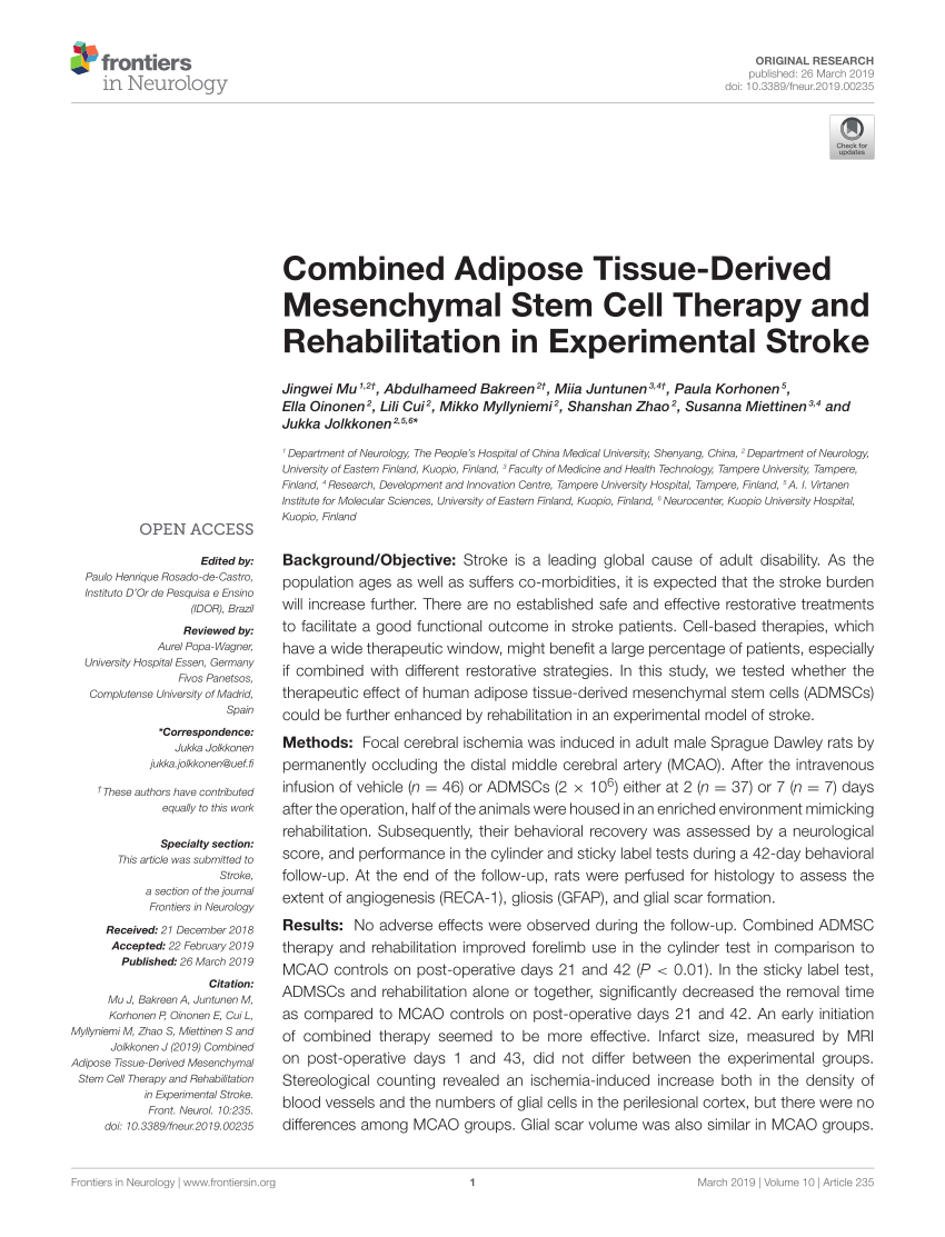 PDF Combined Adipose Tissue Derived Mesenchymal Stem Cell
