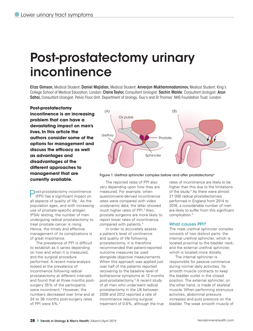 PDF Postprostatectomy Urinary Incontinence