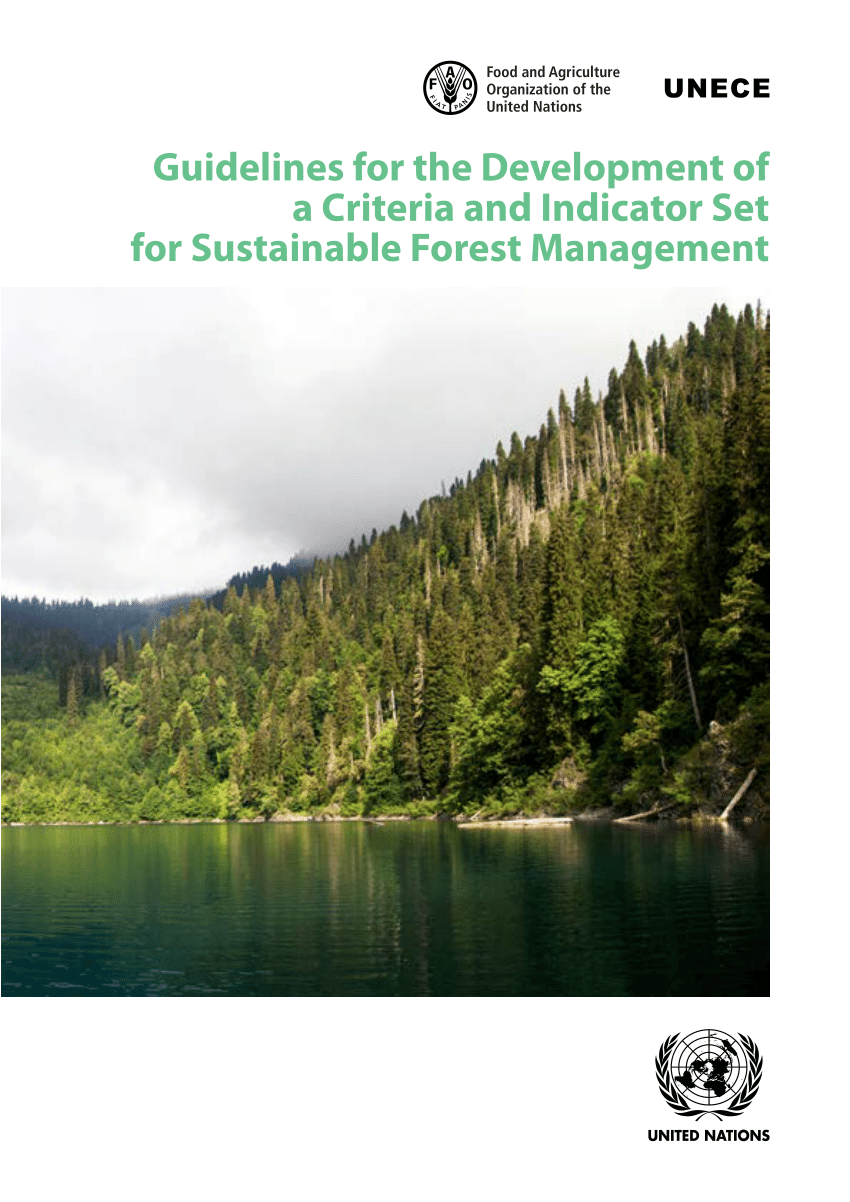 sustainable forest management thesis pdf