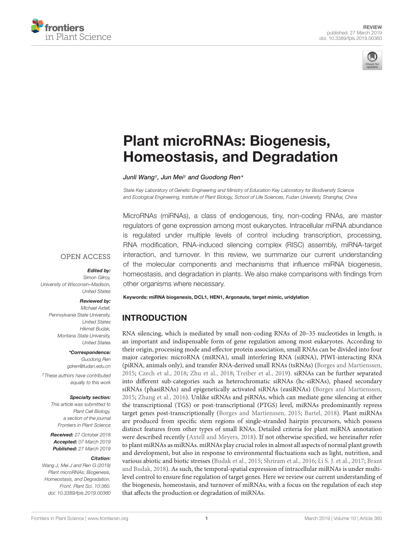 PDF) Plant microRNAs: Biogenesis, Homeostasis, and Degradation