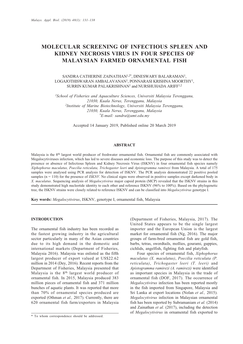 Pdf Molecular Screening Of Infectious Spleen And Kidney Necrosis Virus In Four Species Of Malaysian Farmed Ornamental Fish