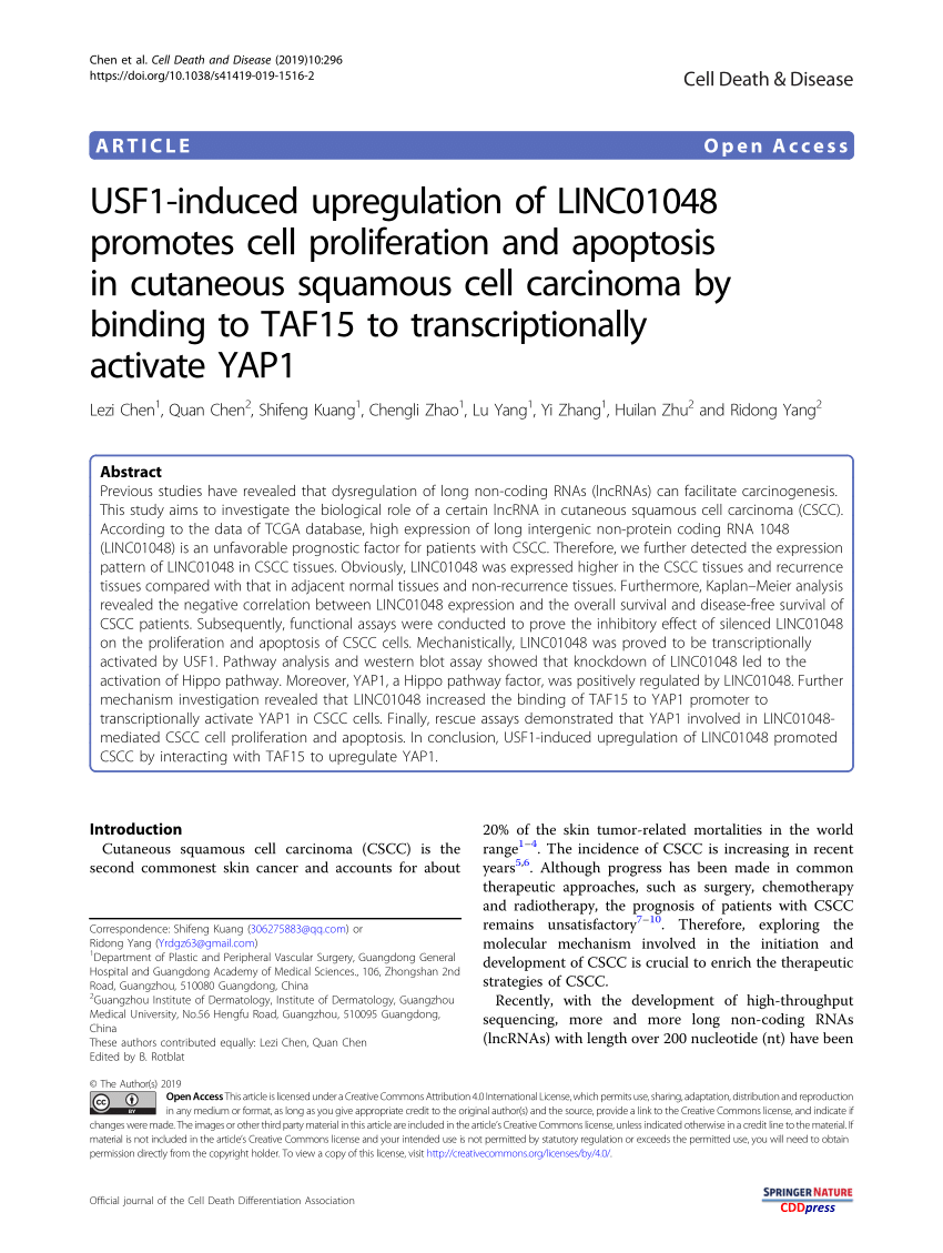 PDF) USF1-induced upregulation of LINC01048 promotes cell ...