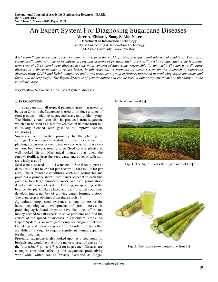 thesis on sugarcane pdf