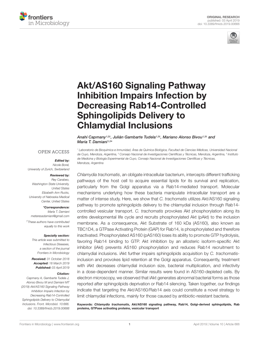 PDF) Akt/AS160 Signaling Pathway Inhibition Impairs Infection by ...