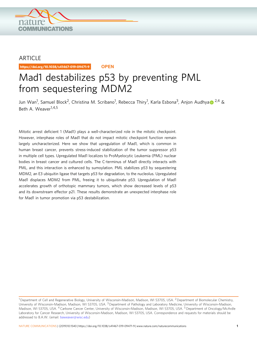 Apoptosis In Hc11 Cells Transfected With The Ts P53 Vector After Download Scientific Diagram