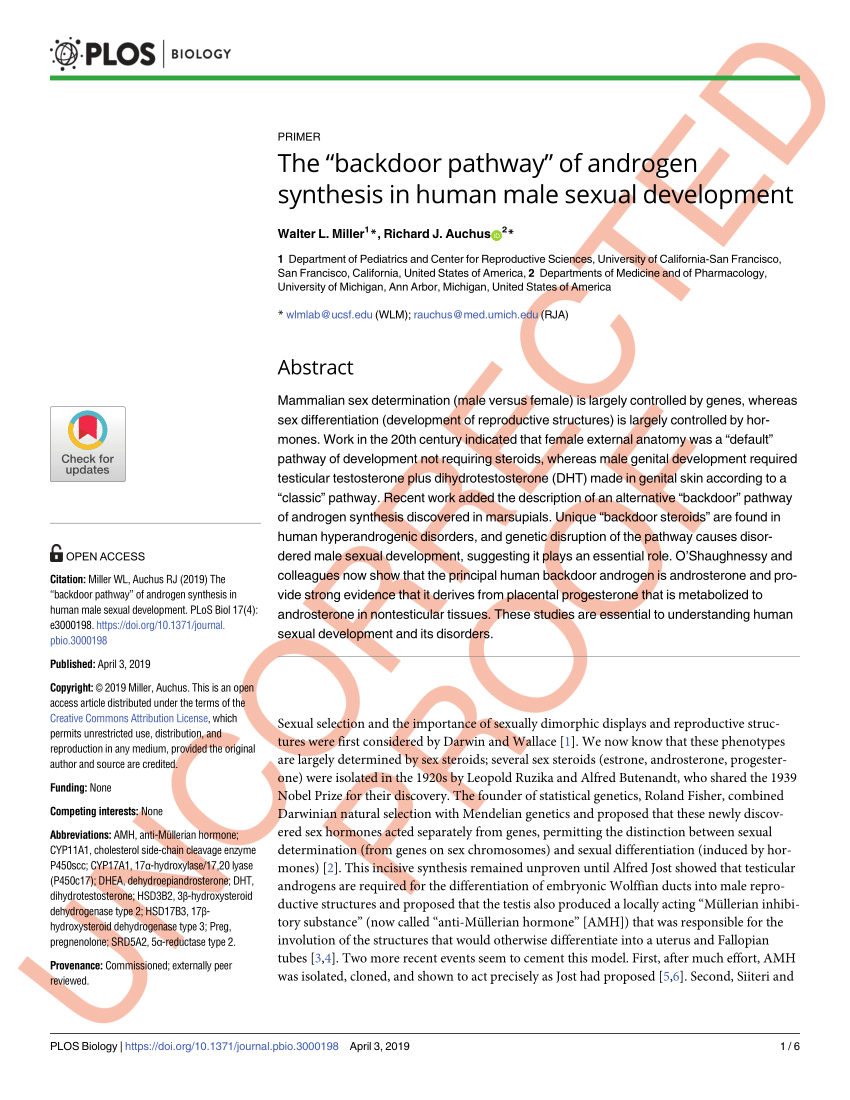 Pdf The “backdoor Pathway” Of Androgen Synthesis In Human Male Sexual Development 6189