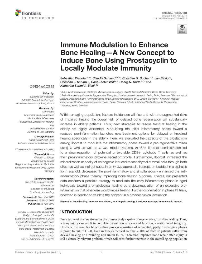 PDF) Immune Modulation to Enhance Bone Healing—A New Concept to ...