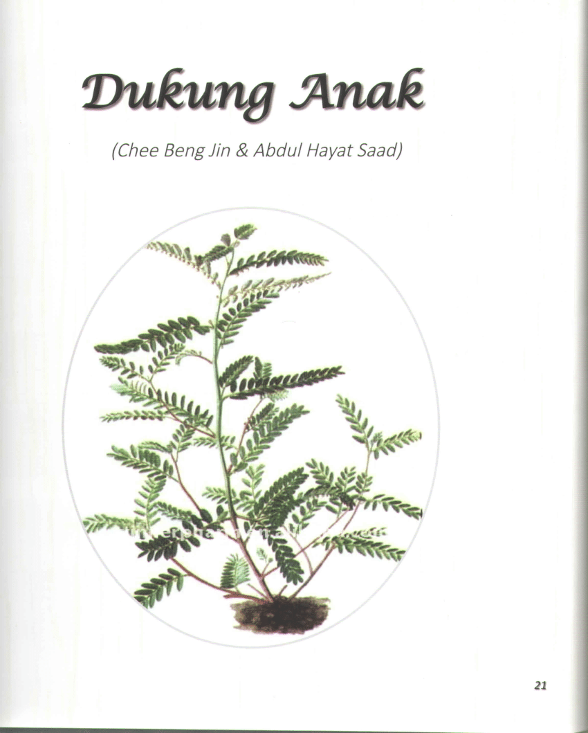 (PDF) Dukung Anak