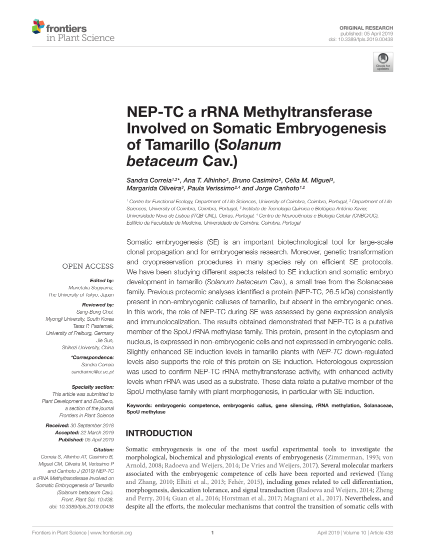 Pdf Nep Tc A Rrna Methyltransferase Involved On Somatic Embryogenesis Of Tamarillo Solanum Betaceum Cav Data Sheet 1 Pdfdata Sheet 2 Pdf