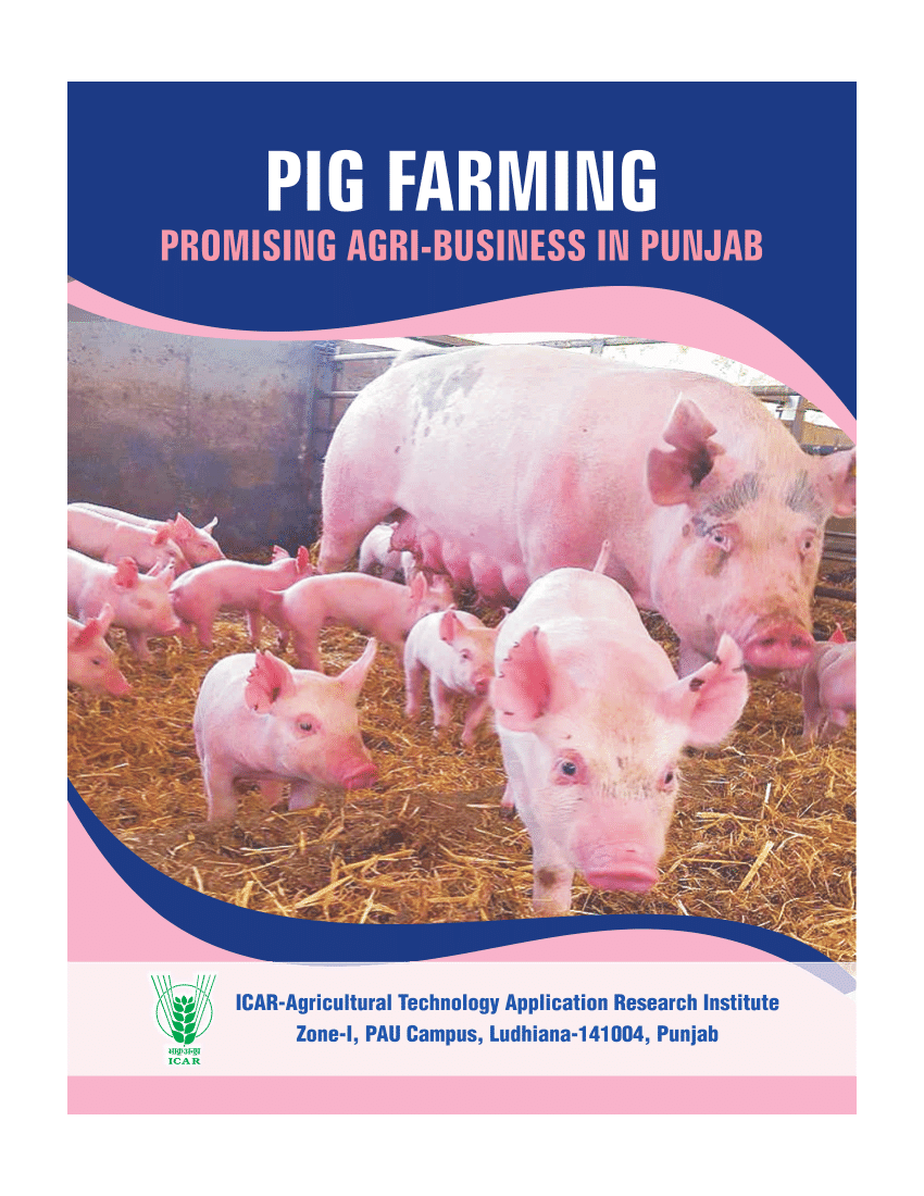 pig farming business plan india