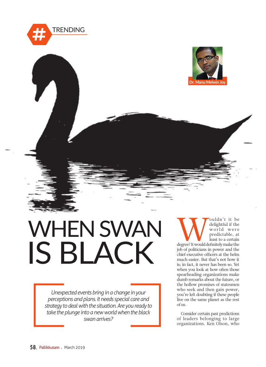 PDF) Swan Leadership