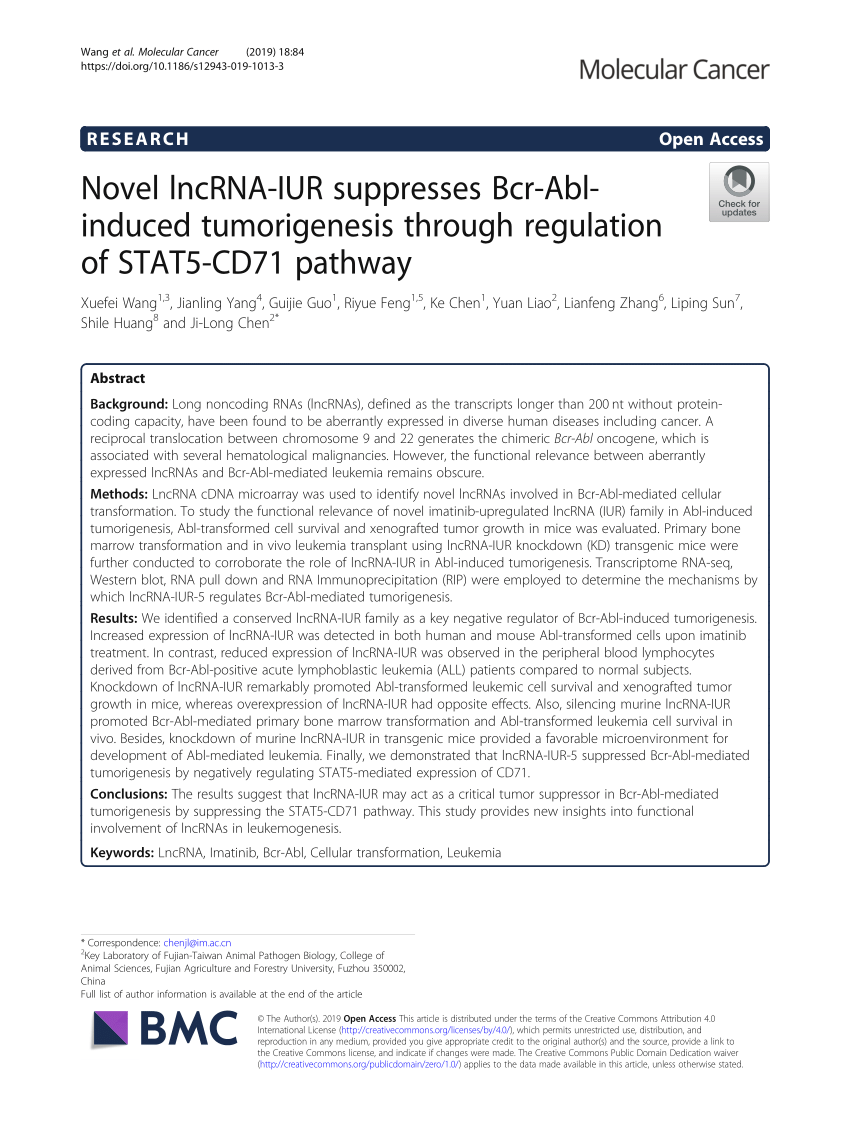 Novel lncRNA-IUR suppresses Bcr-Abl-induced tumorigenesis 