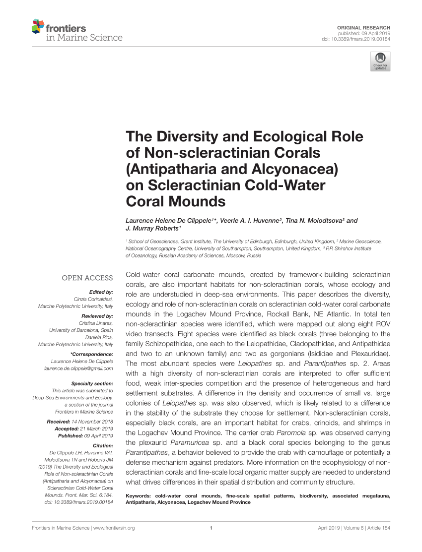 Pdf The Diversity And Ecological Role Of Non Scleractinian Corals